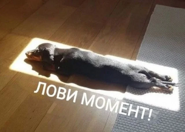 Ура! Картинки!