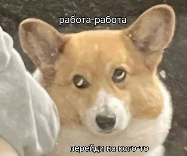 Смешные скрины из соцсетей #94 Смешные скрины из соцсетей #94