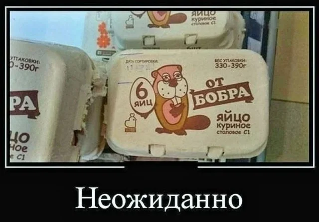 Прикольные картиночки!