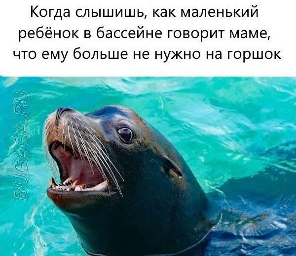 Ещё немного картинок