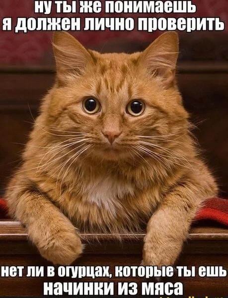 Поднять настроение