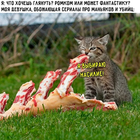 Нереально весело!