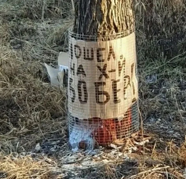 Надписи и прочая ерунда