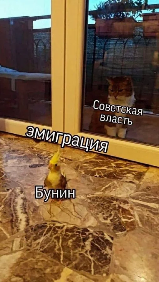 Смешные скрины из соцсетей #98