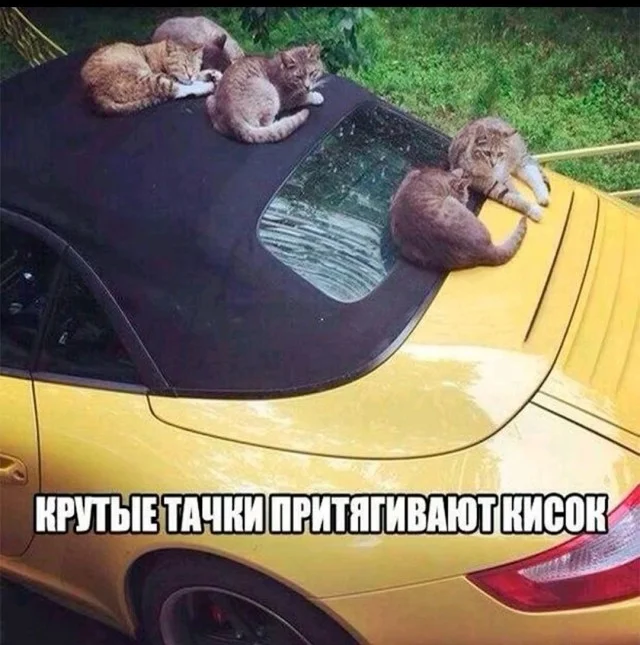 Ха-ха! Прикольные картинки!