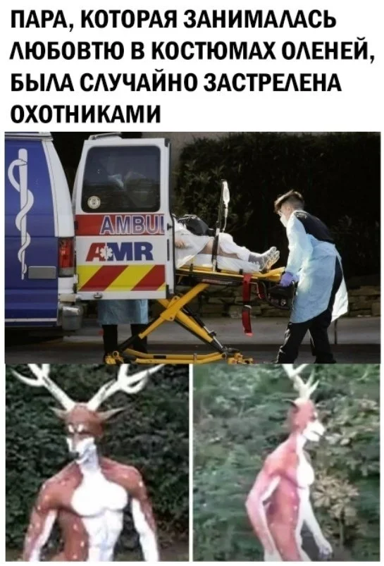 Отличный картинки: Смотрим и смеемся!