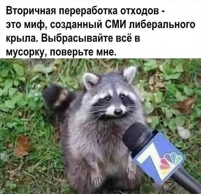 Смешные скрины из соцсетей #99 Смешные скрины из соцсетей #99