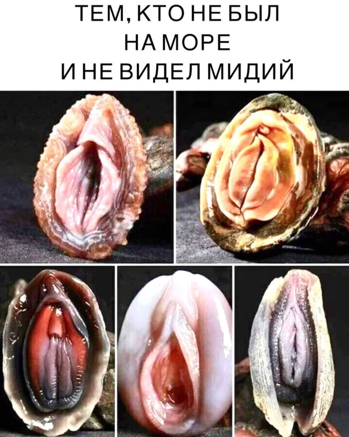 Нестандартный юмор #435 Нестандартный юмор #435