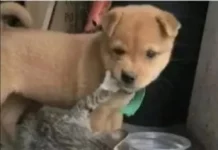 Смешно и по кайфу!