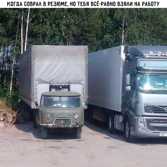 Держите свежие приколы