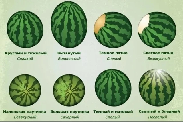 Другие картинки #1