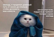 Смешные скрины из соцсетей #91