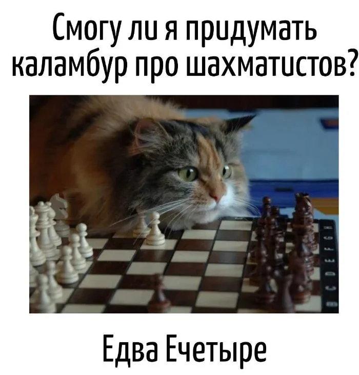 Игра слов – каламбуры, словесный юмор и прикольные картинки #110 Игра слов – каламбуры, словесный юмор и прикольные картинки #110