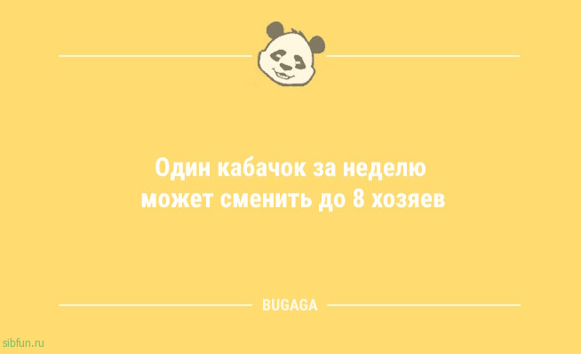 Анекдоты для всех: &laquo;Кто в тетрис не играл&hellip;&raquo; 