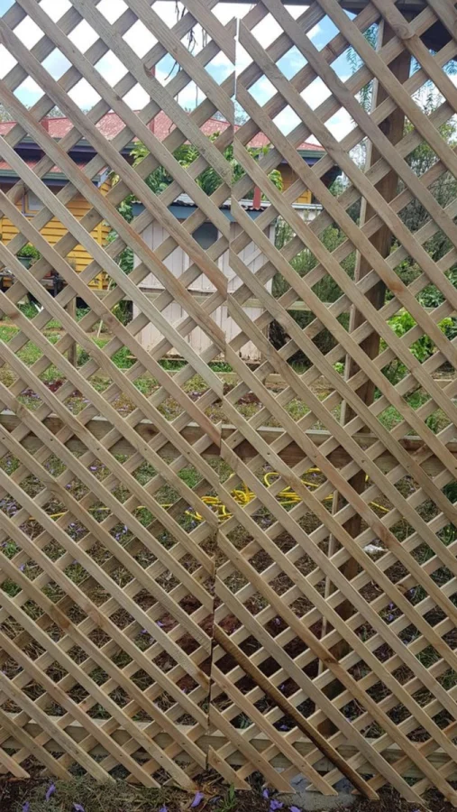 20 снимков, показывающих людей, игнорирующих правила и гармонию 20 снимков, показывающих людей, игнорирующих правила и гармонию