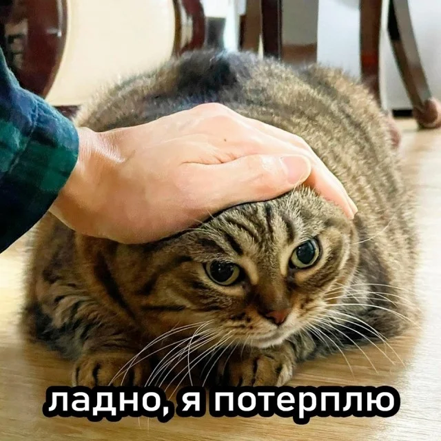 Вау! Свежие картинки!