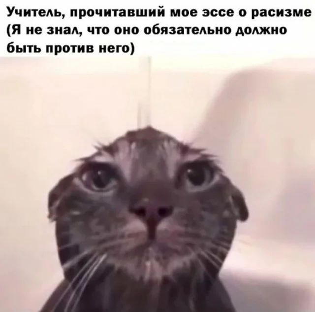 Ещё немного картинок