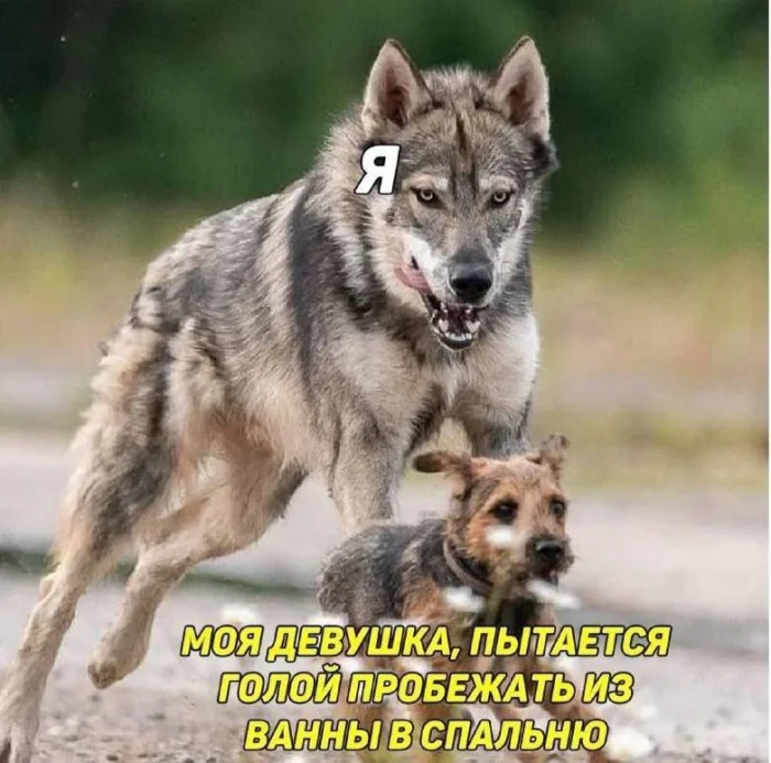 Нестандартный юмор #440 Нестандартный юмор #440