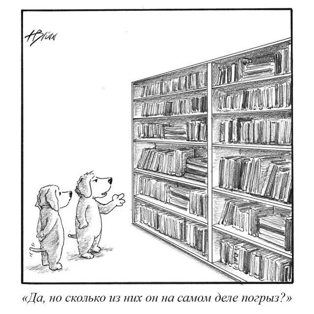 Ха-ха! Прикольные картинки!