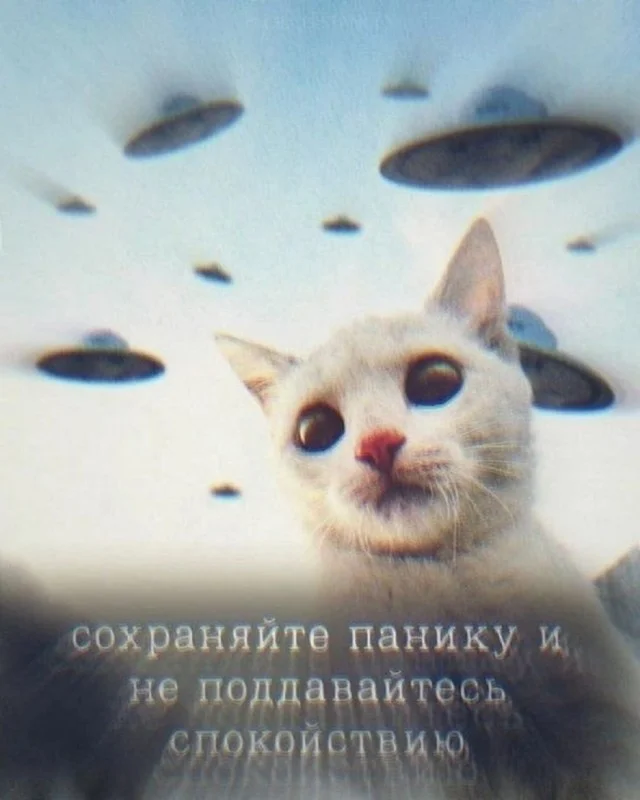 Актуальные приколы