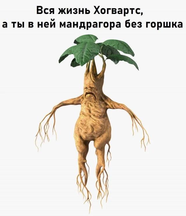 Актуалочка: Прикольные картинки