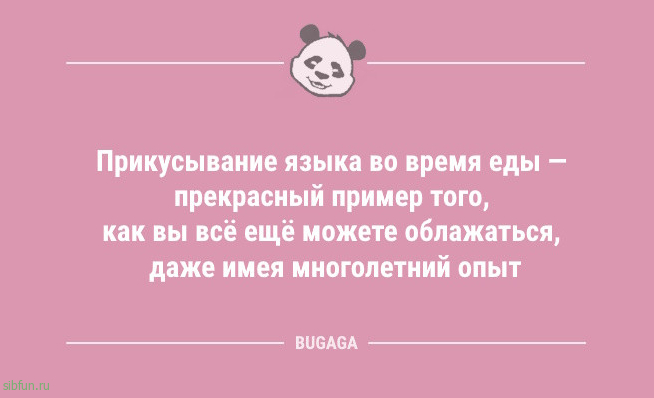 Анекдоты для отличного настроения: «Жизнь — это миг между…» 