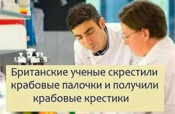 Нестандартный юмор #449