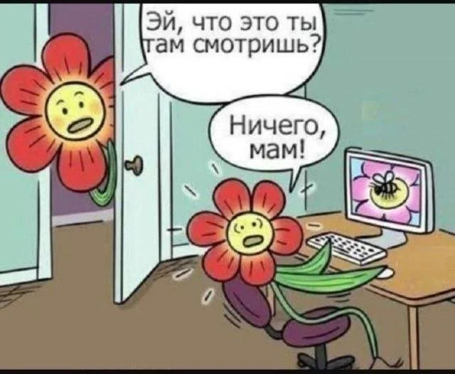 Смешные скрины из соцсетей #86 Смешные скрины из соцсетей #86