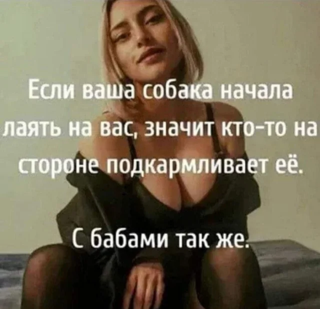 Деградейшен!