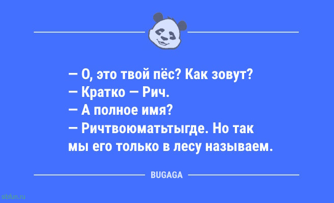 Анекдоты в пятницу: «Расставляй приоритеты правильно…» Анекдоты в пятницу: «Расставляй приоритеты правильно…»