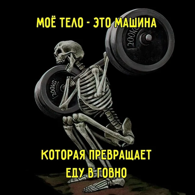 Вау! Свежие картинки!