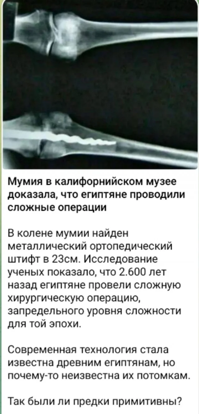 Приколы подъехали