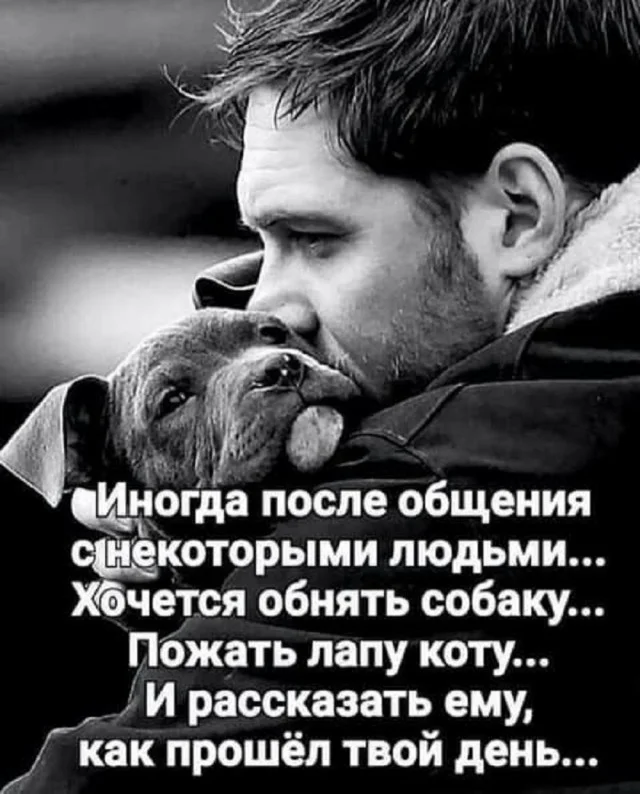 Картинки по кайфу!