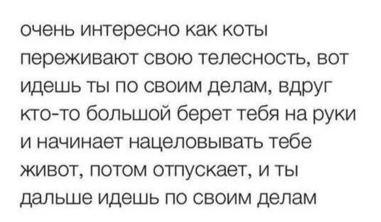 Смешные скрины из соцсетей #86 Смешные скрины из соцсетей #86