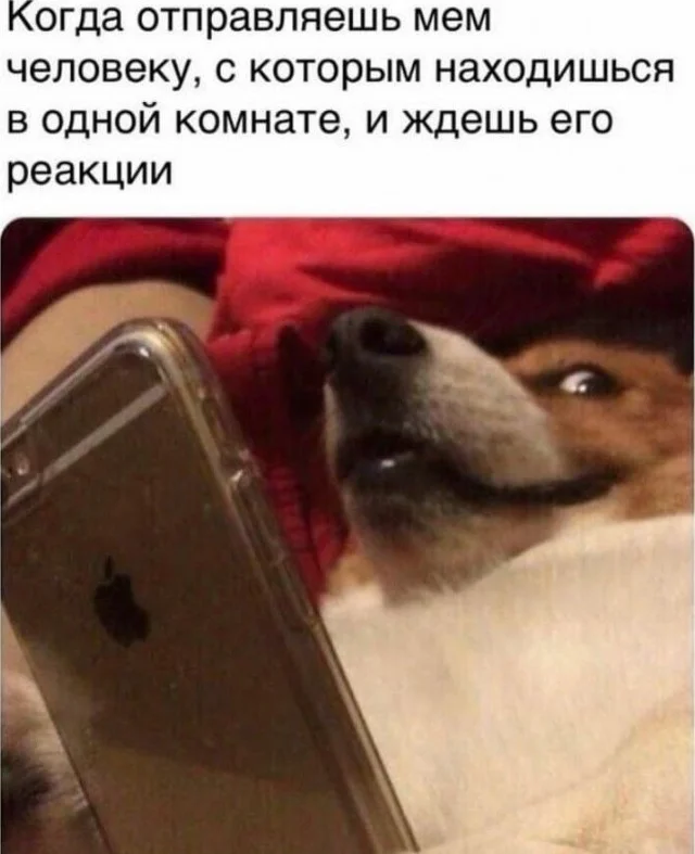 Поднять настроение