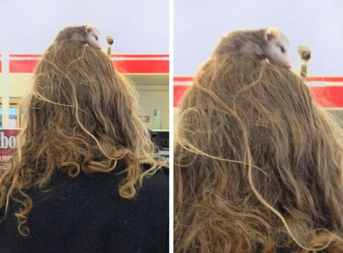 16 случаев, после которых остаётся больше вопросов, чем ответов 16 случаев, после которых остаётся больше вопросов, чем ответов