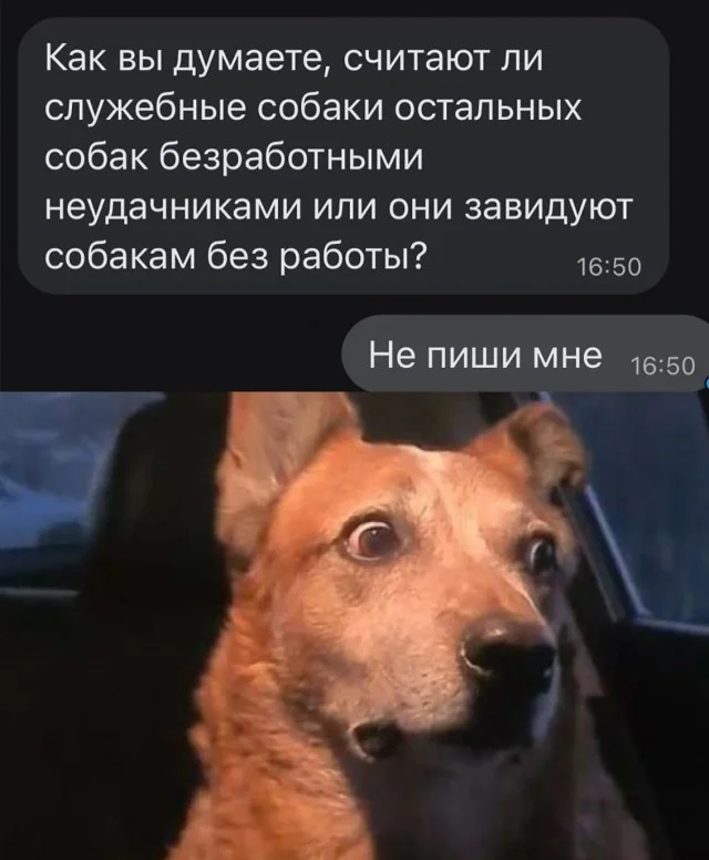 Актуалочка: Прикольные картинки