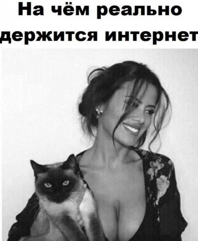 Деградируем по полной