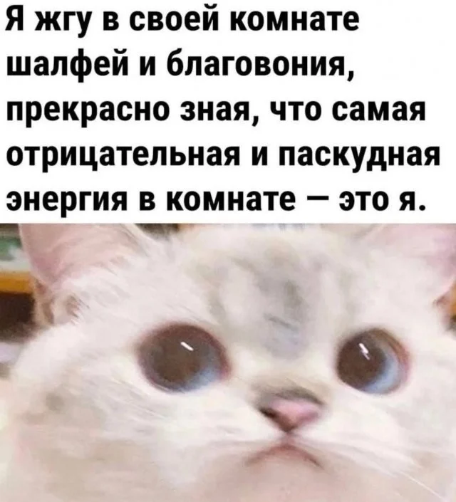 Смешные скрины из соцсетей #97