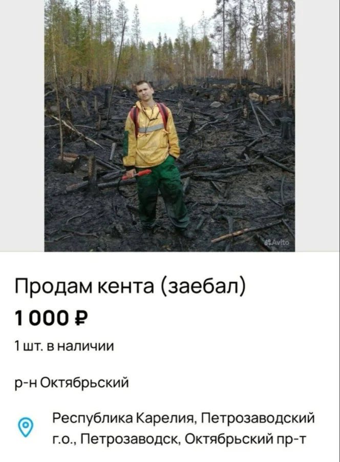 Нестандартный юмор #444 Нестандартный юмор #444