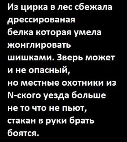 Баянистые приколы