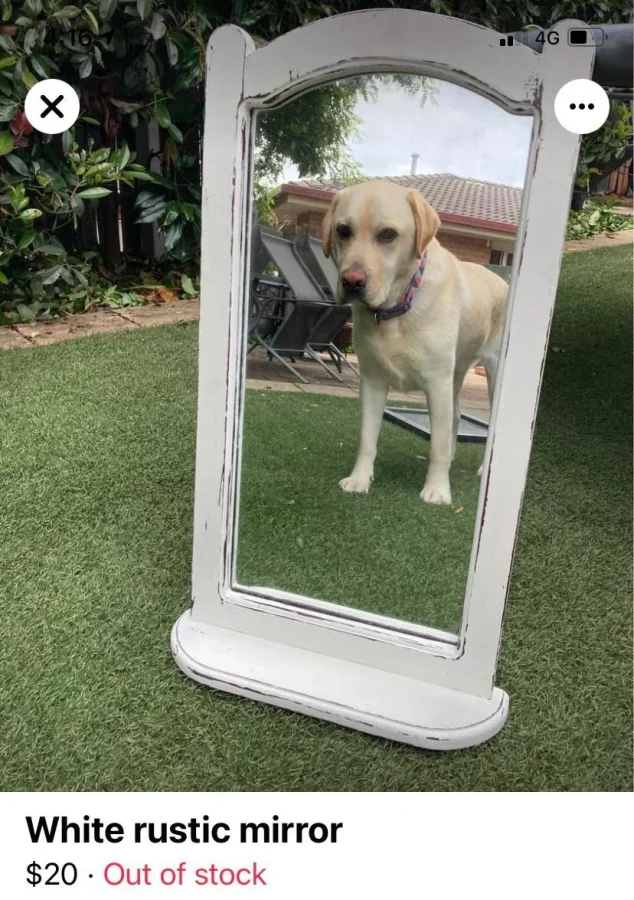 Люди продают зеркала