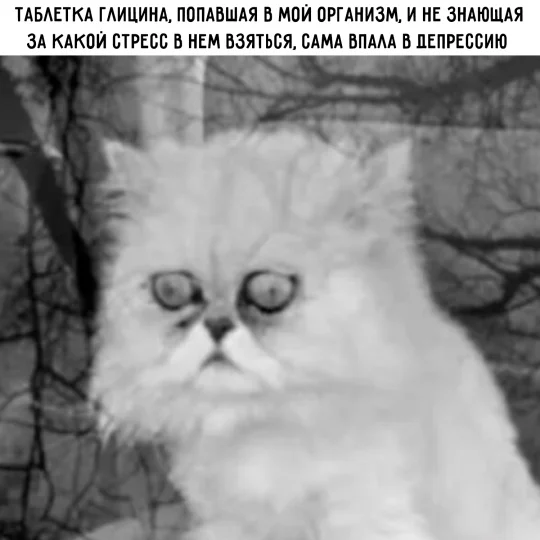 Нереально весело!