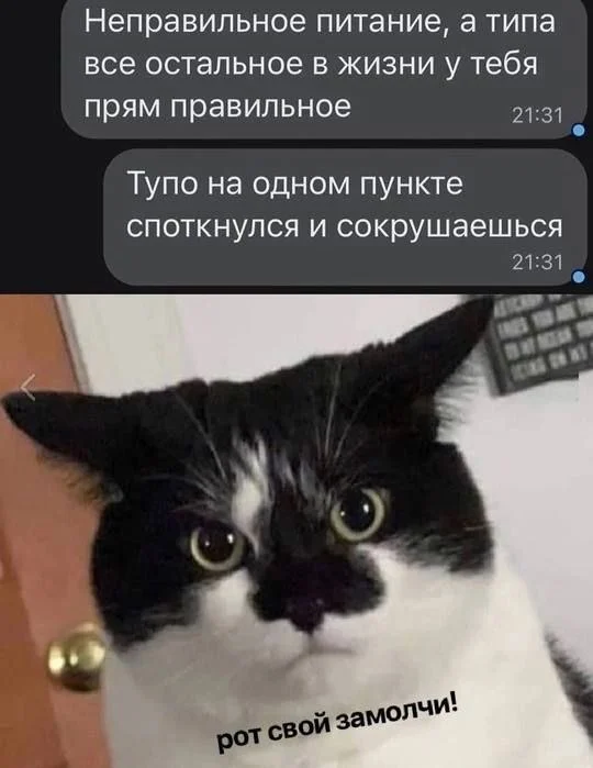 Мемы из дурки