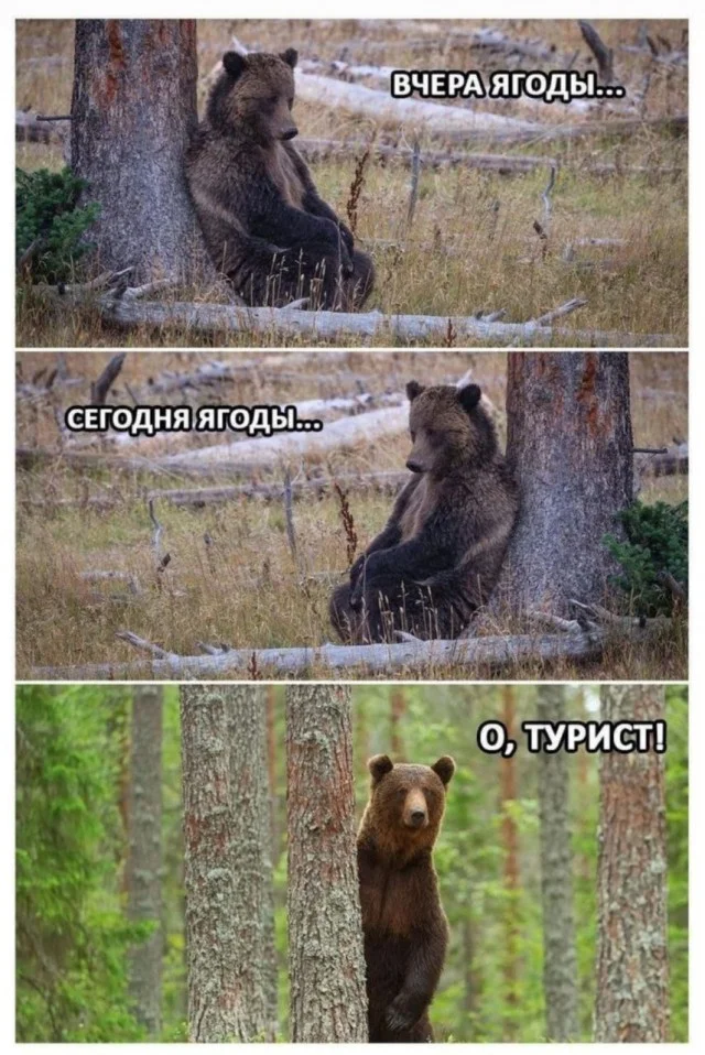 Очень весело!