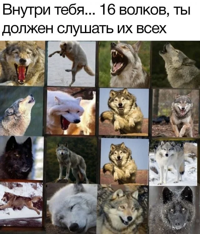 Смешные скрины из соцсетей #102