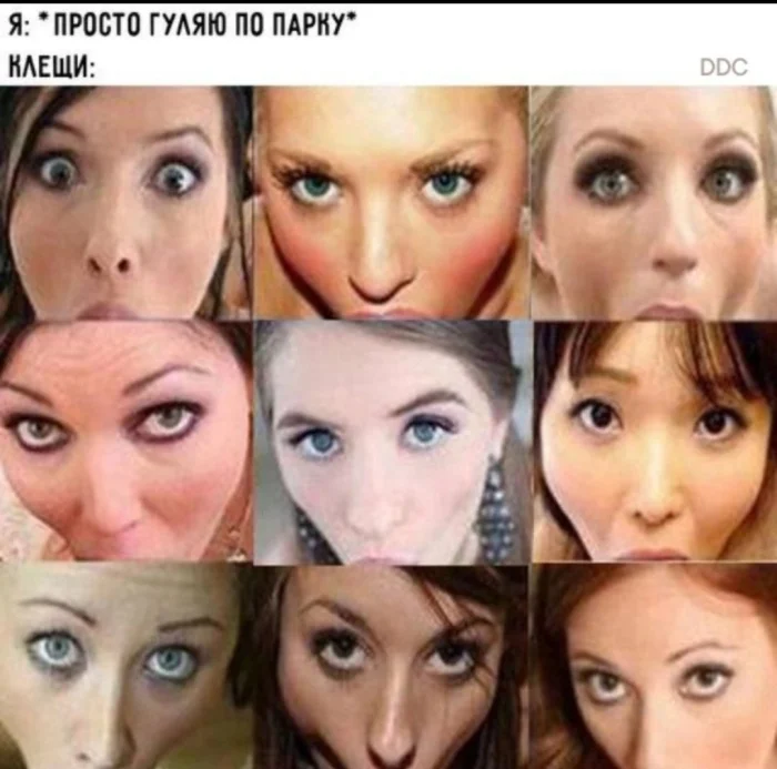 Нестандартный юмор #486 Нестандартный юмор #486