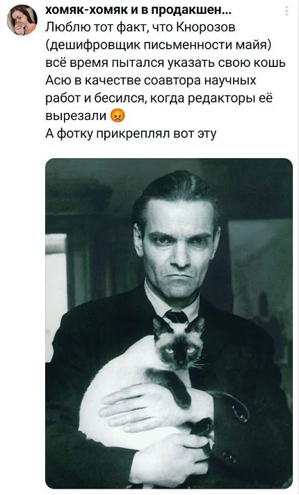 Подборка с мемами