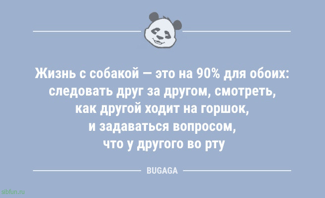 Анекдоты дня: &laquo;Жена хочет велотренажёр&hellip;&raquo; 
