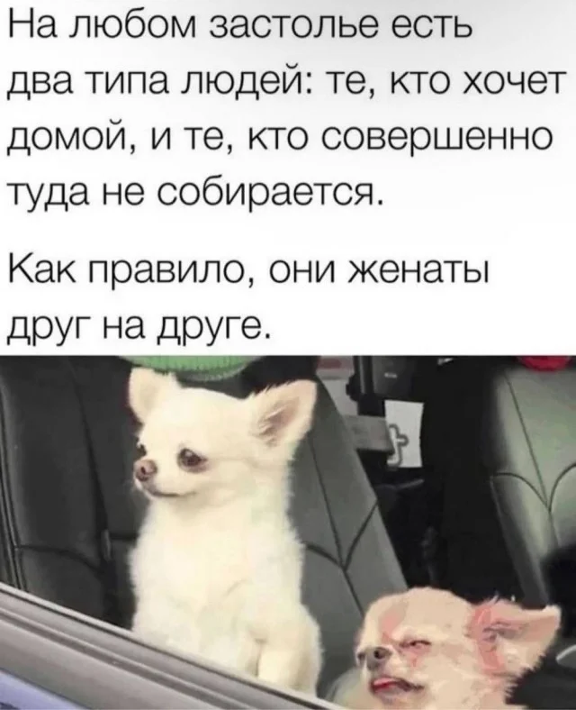 Мемные баяны: балласт из картинок